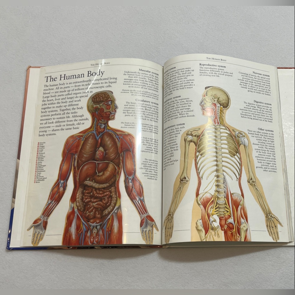 Book - Picture 4 of 5